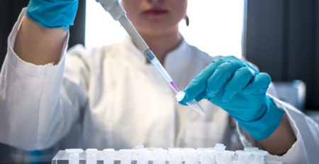 Progressão da osteoporose poderá ser travada com células estaminais