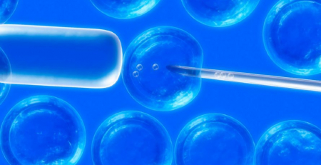 Células estaminais do tecido adiposo eficazes na redução de sintomas em doentes com lúpus renal