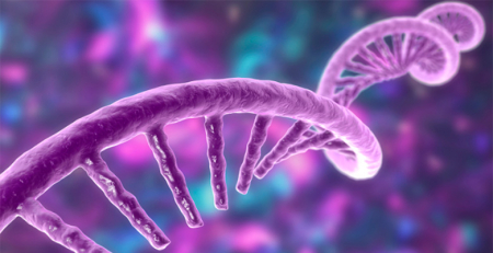 Descobertos novos papéis dos circRNAs em doenças autoimunes