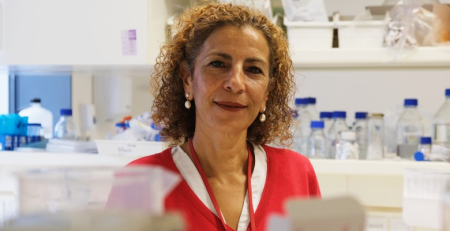 SinPAIN: o desenho da solução terapêutica para osteoartrite